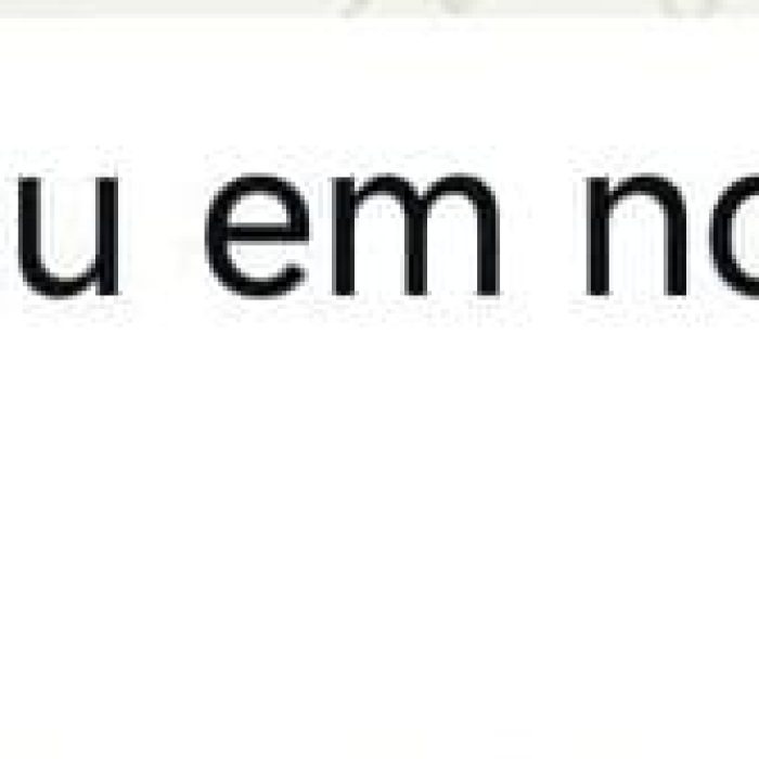 WhatsApp Image 2026-03-21 at 17.33.18